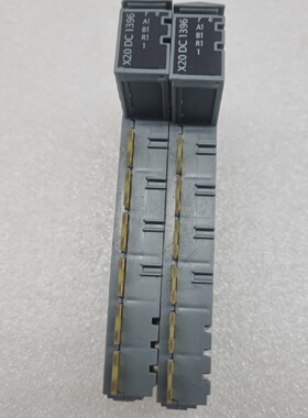 Modulo Contatore Digitale BR X20DC1396 Set Di 2 Spedizione V