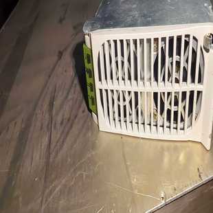 询价IPG激光器CP2725AC54TEZ电源 联