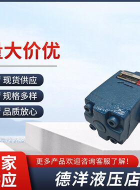 迅DFYB10HB20H2液控L1020H1止逆阀A1YHA10B液压A2YHb20BHA32F