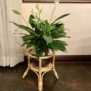 北欧风藤编实木花架置物架室内客厅花盆摆件民宿创意花架 新品