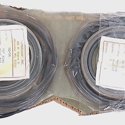 LOT OF 2 NEW HYPNEUMAT DQ58 O RING SEAL KITS