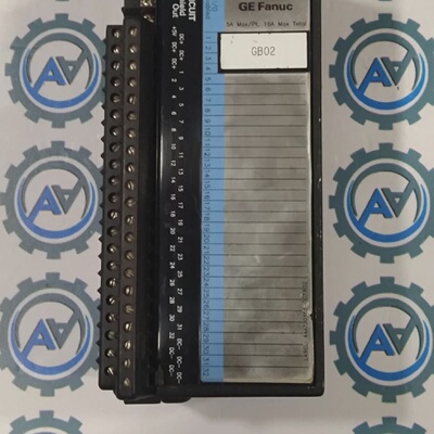 Assemblaggio Terminale GE FANUC IC660TBD025K 32 Sink