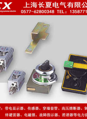 202/203/205JS  两锁一钥匙 程序锁 配套XGN 厂价直销