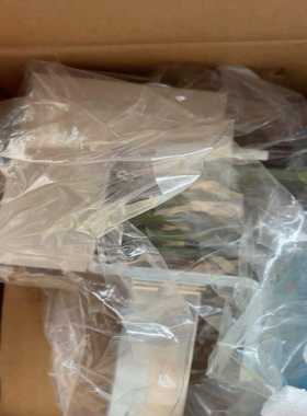 【议价】IFMLR8000易福门电子液位传感器LR0000