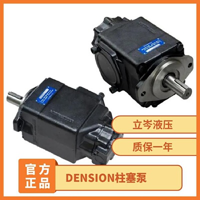 迅DENSION丹尼逊叶片泵T6C0171R00C1T6D0202R00C1油泵柱塞