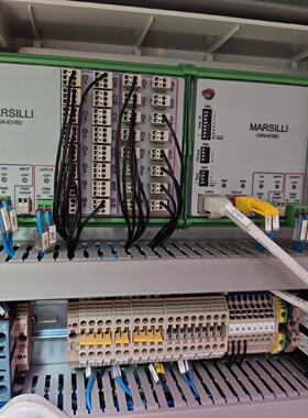 【议价】MARSILLI CAN-IO16D 80009905，冲新