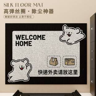 快递外卖放门口地毯门外蹭脚垫2024新款耐脏丝圈家用电子入户门