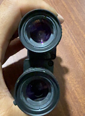 议价德国AVTStingrayF125BASG工业2议价