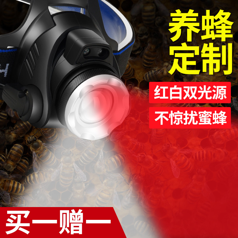 可感应红光头灯专用养蜂查蜂取蜜养蜂头戴式手电筒调焦红白双