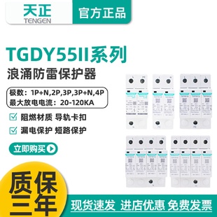 天正TGDY55II浪涌電涌保護(hù)器2P4P防雷避雷器20KA40KA二級380V家用