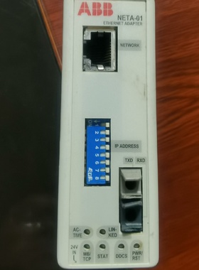 NETA-01  成色一般【议价】