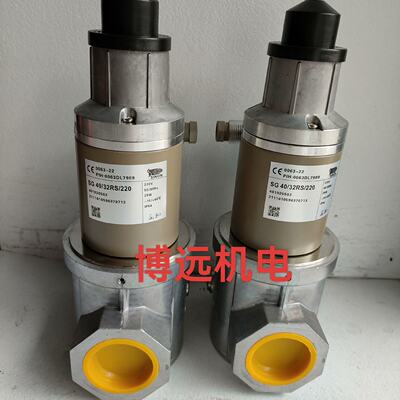 SG40/32RS/220施能慢开电磁阀--议价商品