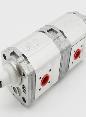 TurollaSNW2NN/017LN04AGSNP2NN/017LN03CADoppel-Zahnradpu