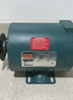 Reliance Electric Motor P56X1301SUU 34HP 1725RPM 3PH New