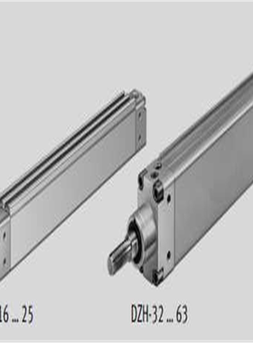 FESTODZH-40-25/40/50/80/100/160/200/300-PPV-A1)扁平气缸