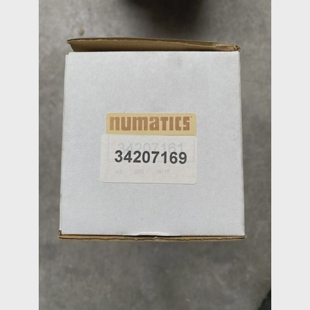 AscoNumatics34207169(P2261)
