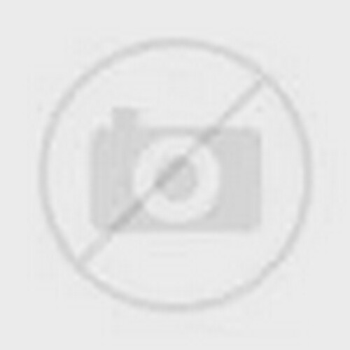 Bunn34742CompressionSpring0.48