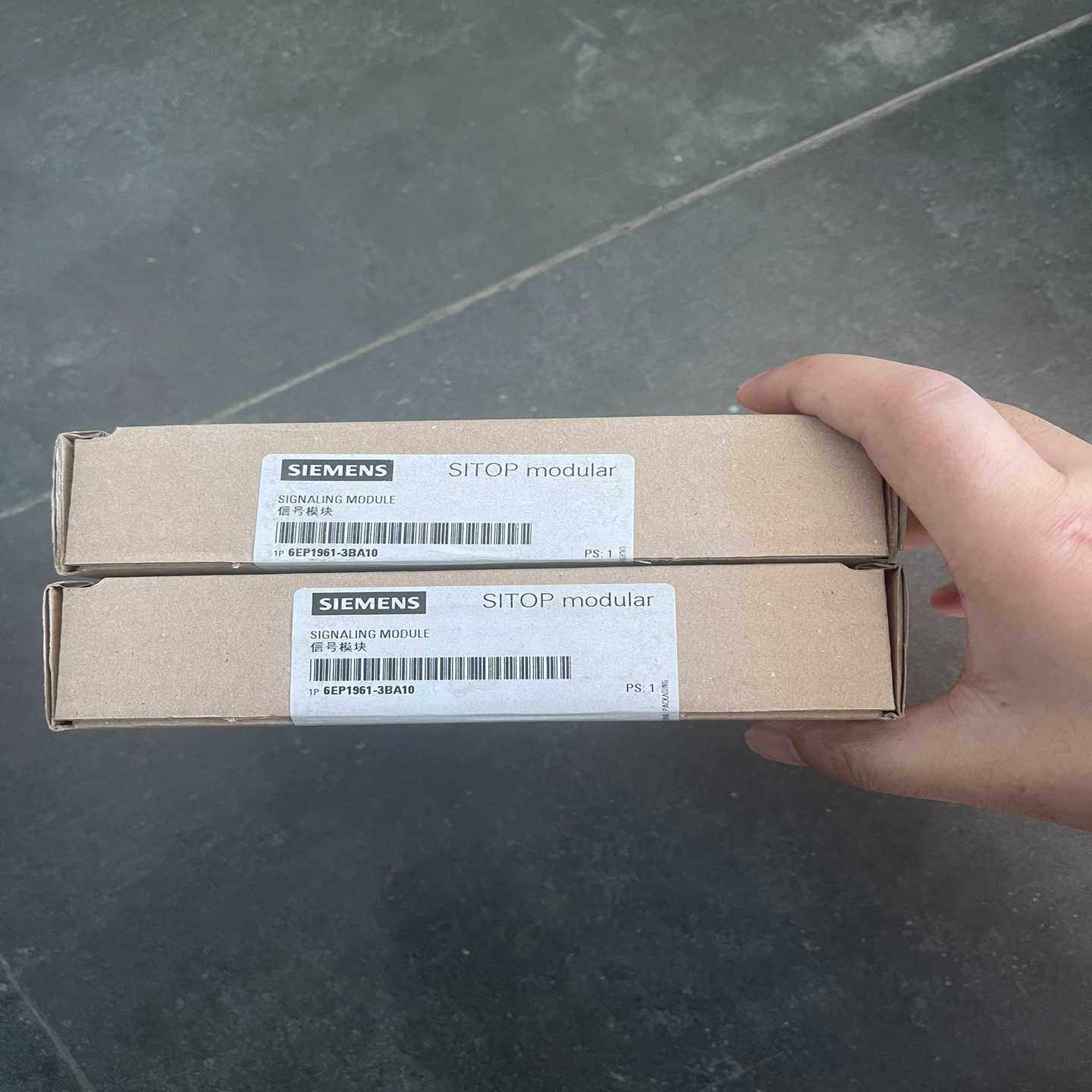 6EP1961-3BA10SITOP电源模块6询价