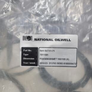 Kit Di Guarnizioni National Oilwell Varco 6473171 160100X701