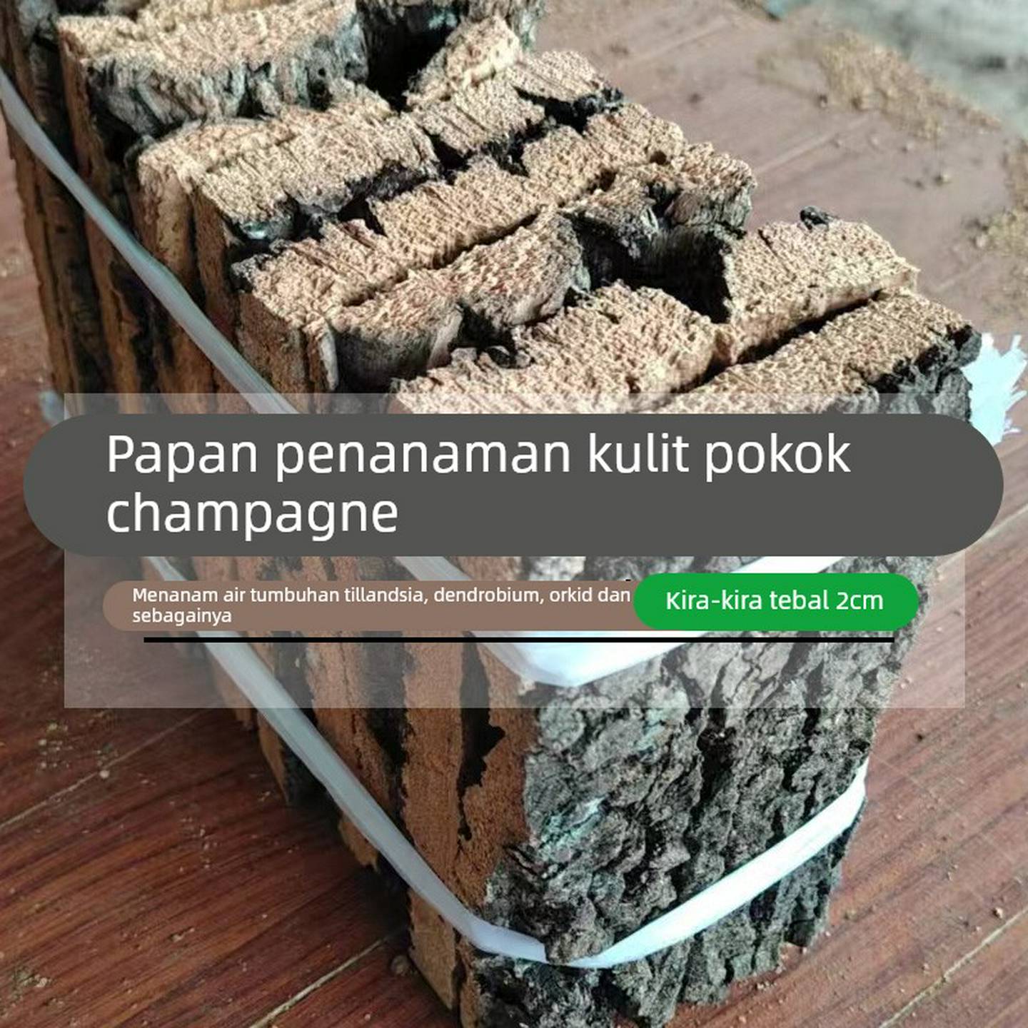 香槟树皮空气凤梨种植板石斛科苔藓造景微景观装饰墙爬宠躲避雨林