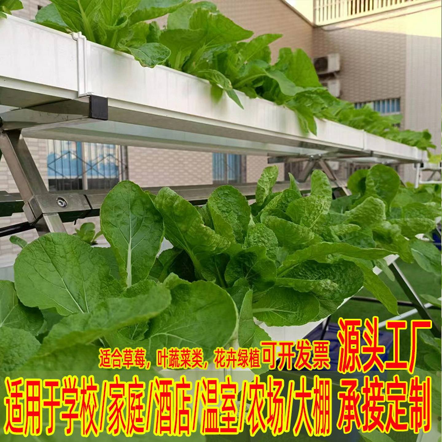 NFT无土栽培蔬菜草莓种植A字架水培设备阳台管道种菜机源头工厂家