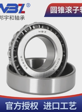 WBZ双列圆锥滚子轴承 382930 392936