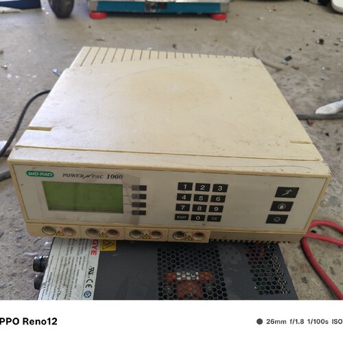 【询价】BIORAD伯乐 POWER PAC 1000电泳仪可通电开