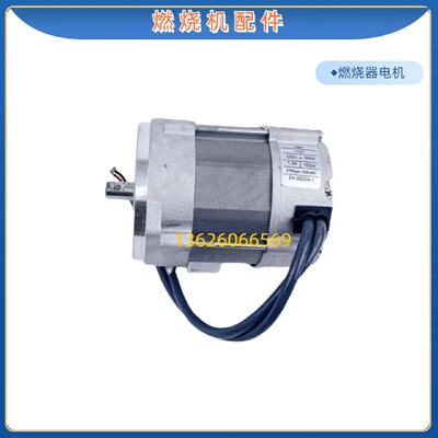 议价RIELLO利雅路FS20燃烧器电机FS10 FS5 GS5 GS10 GS20 90W通风