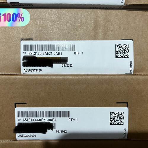 6SL31306AE210AB1保内-询