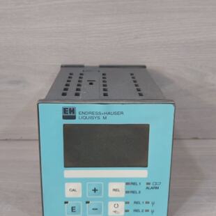 ENDRESSHAUSER CPM223PR0110 LIQUISYSM pHREDOX