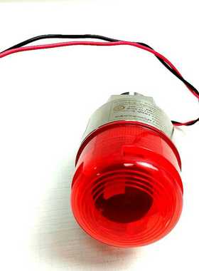 AF500D0声光报警器10168111蓝色24V3/4NPT不锈钢声光报警