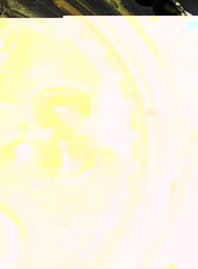 安川机器人 DX200 MH50II L轴减速机#YASKA【白零商行】