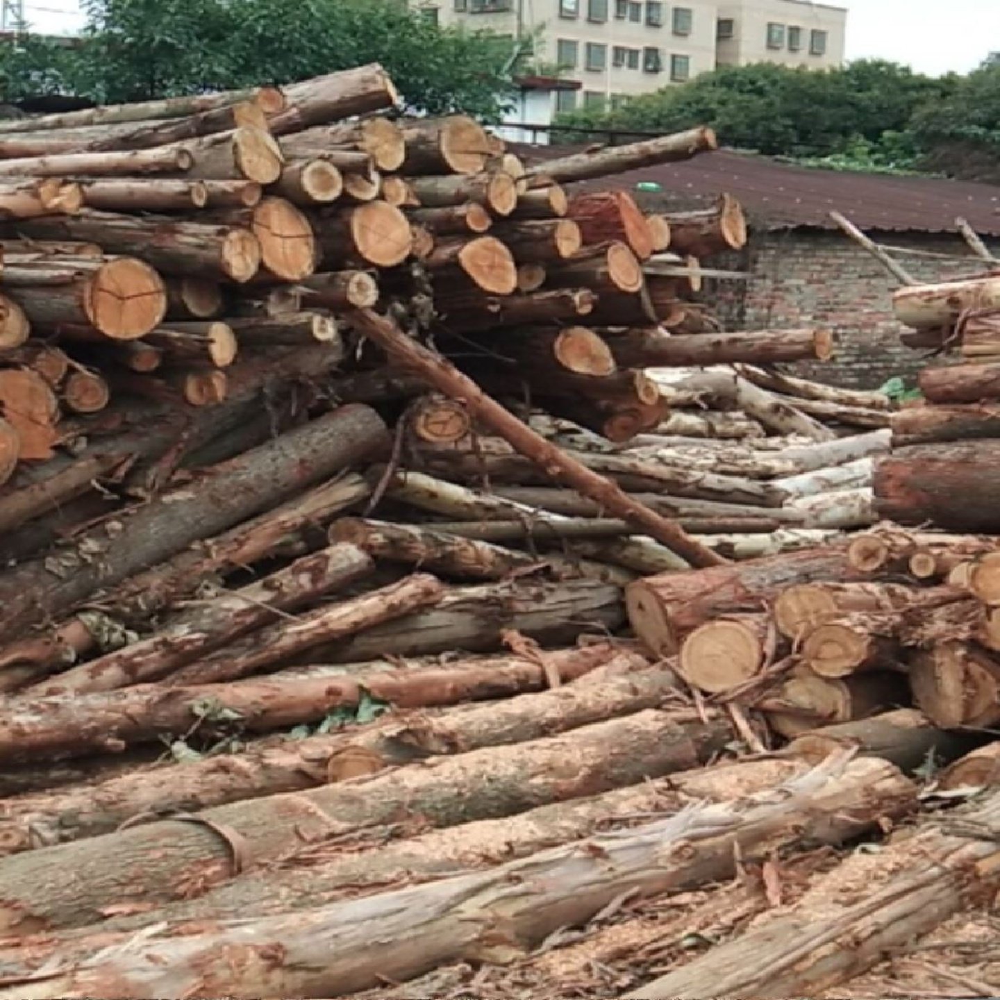 全新木卡板实木托盘叉车木栈板露营木托防潮垫板物流松木质地厂家,包装,木托盘,淘宝优惠券,粉丝福利购,淘宝优惠卷