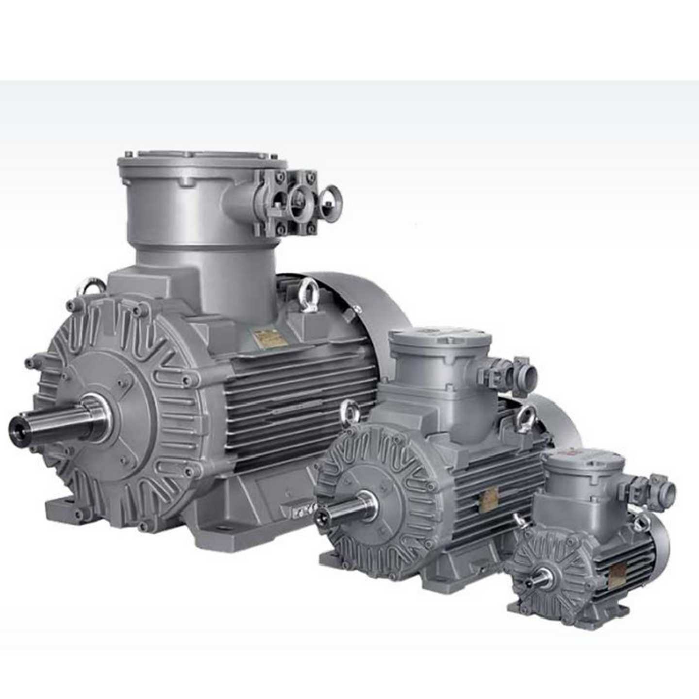 1LE0003电机1LE0003-0XDB22-1AA4-ZF70H20