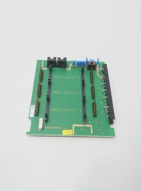 EndressHauser319111-0200Flowtec控制板SerE