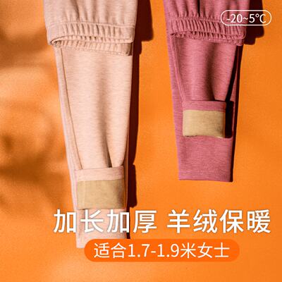 加厚高个子加长版保暖裤女款加绒羊绒德绒无痕内穿卫生裤冬季超长