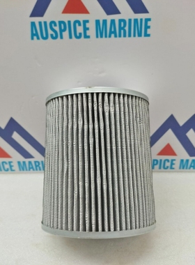 Lemasa01.WP.45.10VGFilterElement