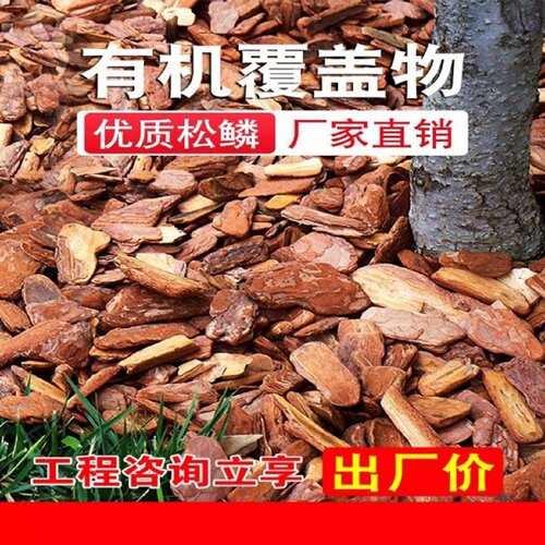 打磨松树皮松麟树皮有机覆盖物发酵腐熟树皮基质铺面树穴覆盖杂草