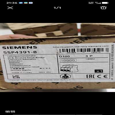 咨询-5SP4391-8断路器D100