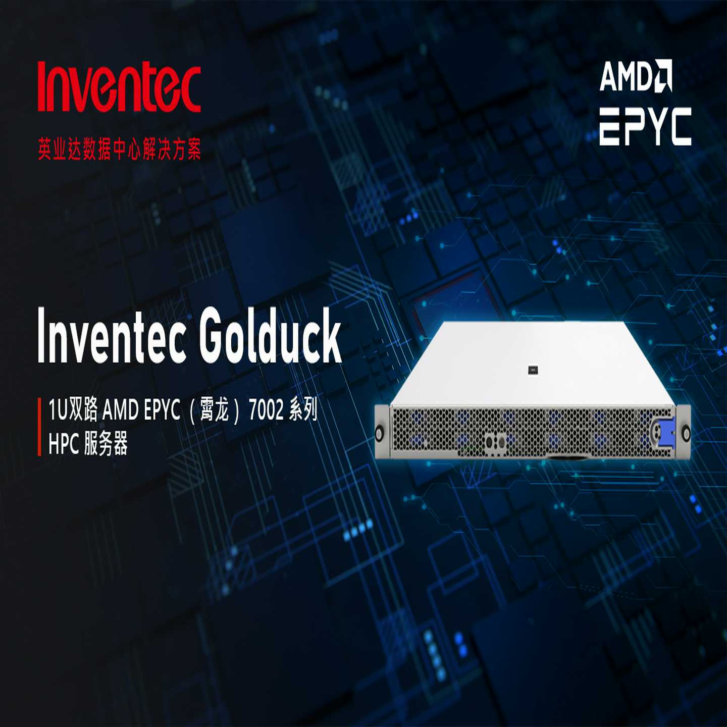 配件英业达Golduck1U EPYC 双路服务器准系统IPFS议价