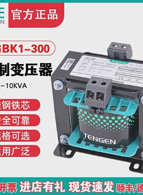 天正TGBK1-300VA隔离机床控制变压器交流380220变2201103624V