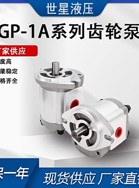 寻IHGP1AF6R高压齿轮泵HGP1AF4RF2RF8RF1RF5RF3R液压齿轮泵