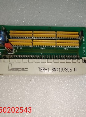 【请询价】Gespac TER-1 GESTER-1 8307 二手拆