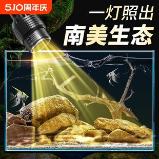 南美缸射灯鱼缸造景照明专用led灯防水溅古法水草全光谱变焦