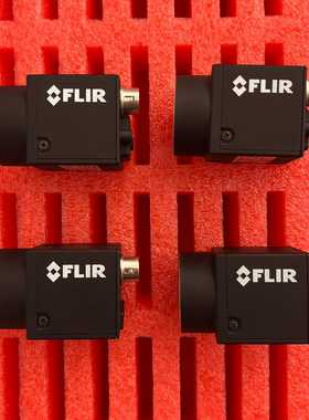 询价FLIR灰点BFS-U3-32S4C-C320万彩色高