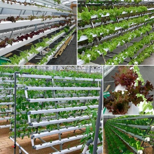 蔬菜瓜果A型种植架蔬菜立体种植槽 无土栽培设备水培管道式