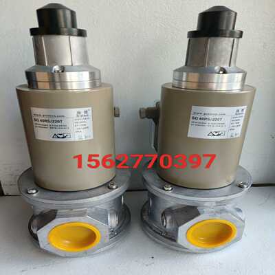 SG40RS/220T施能慢开电磁阀SG50RS/220T【询价】