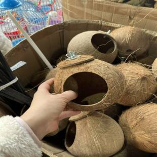 椰子壳鸟窝特色繁殖鸟用自带锣丝大小可选派儿特新品1个