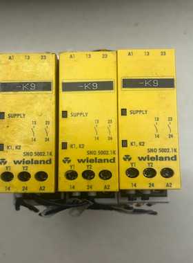 拆机威朗安全继电器SNO5002.1K，成色如图功能好