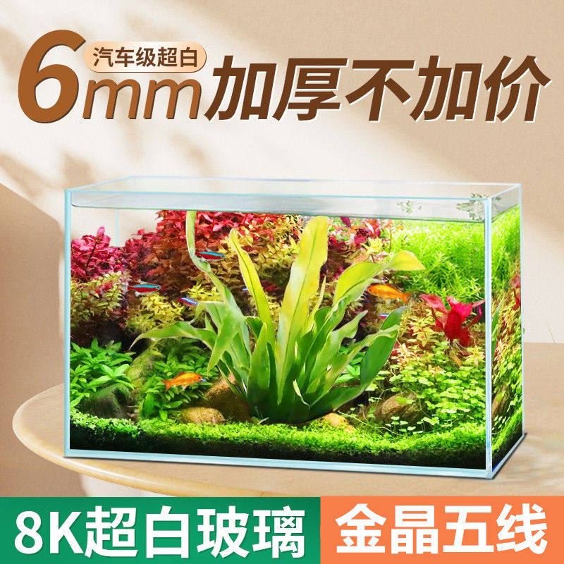 BESSN金晶五线超白鱼缸玻璃桌面小型客厅新款裸缸溪流缸生态